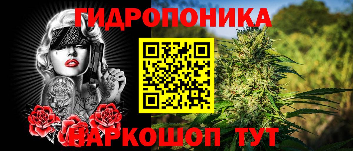 Каннабис семена Заволжье